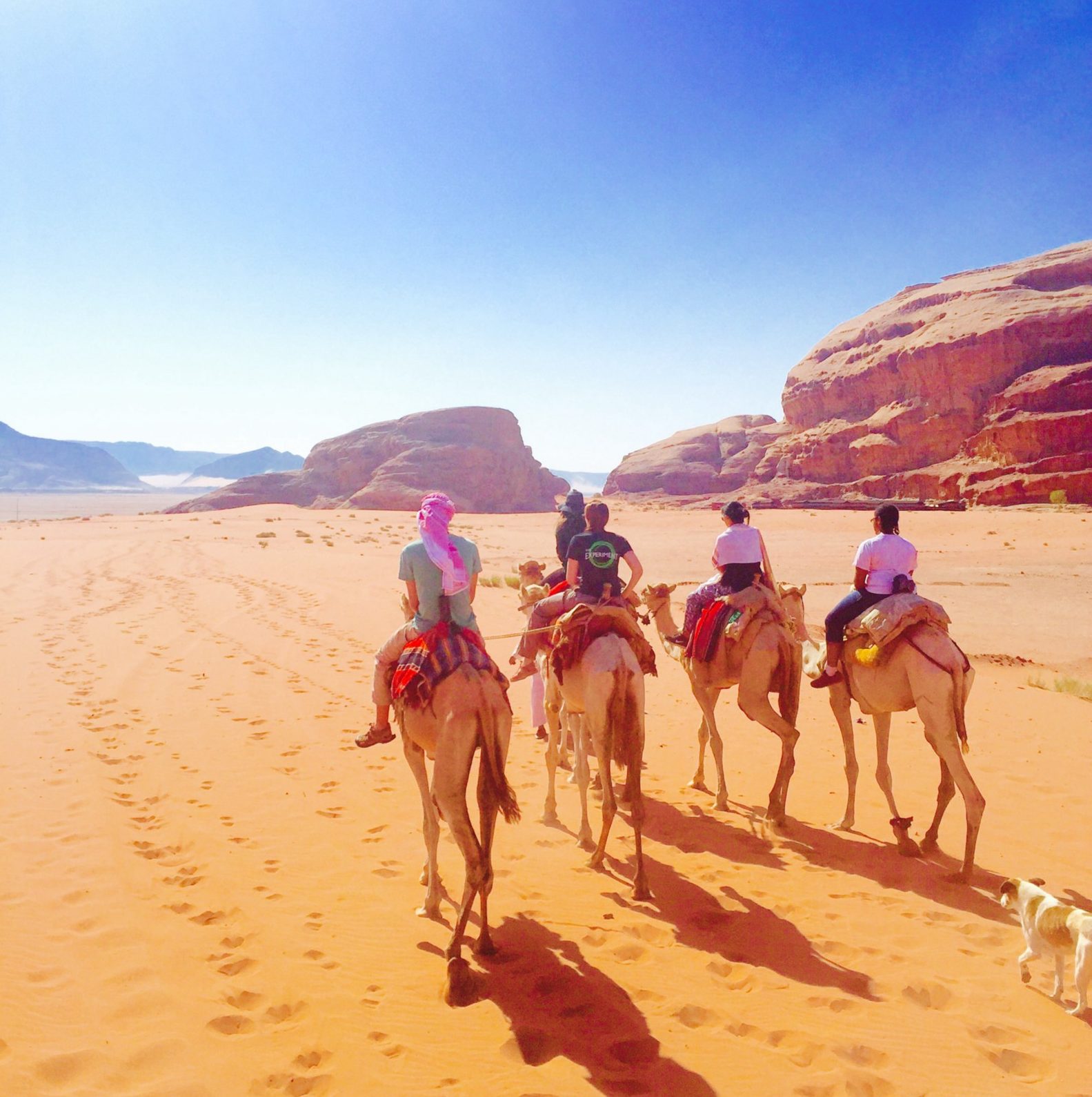 The Experiment through the years: A photo essay depicting the power of study abroad