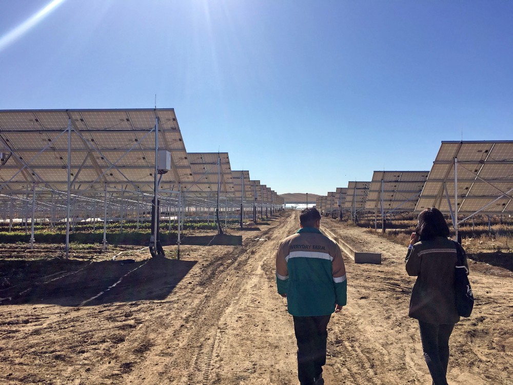 World Learning Launches Virtual Tours Exploring Careers Around the Globe