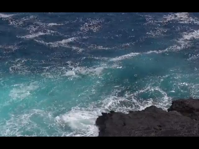 Our Ocean Youth Leadership Program