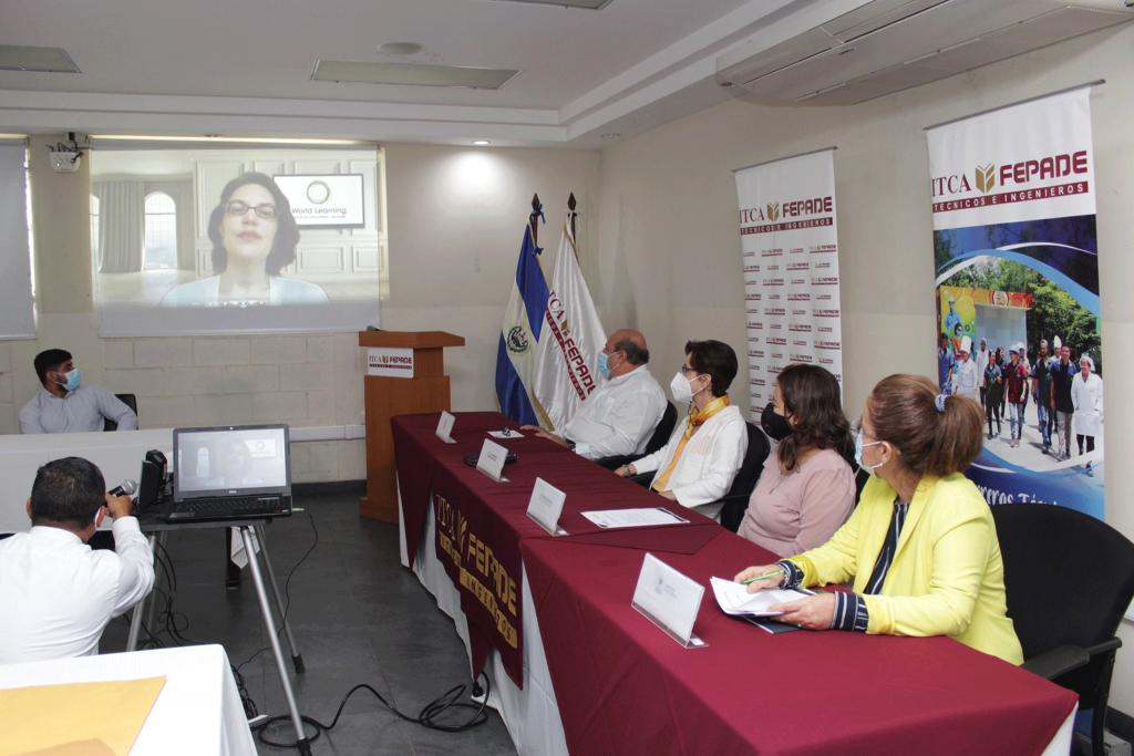 Catherine Honeyman speaks to a panel via video conference.