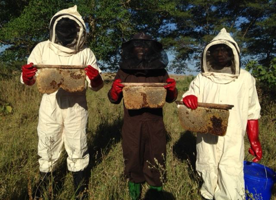 In Tanzania, a Beekeeping Project Revitalizes a Community